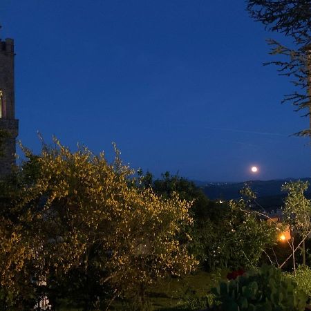 Villa Stella Montalcino Bagian luar foto